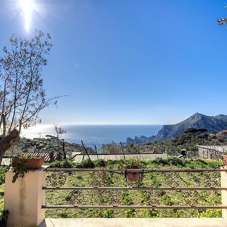 Il Pioppo - Country House Sea View Massa Lubrense Eksteriør bilde