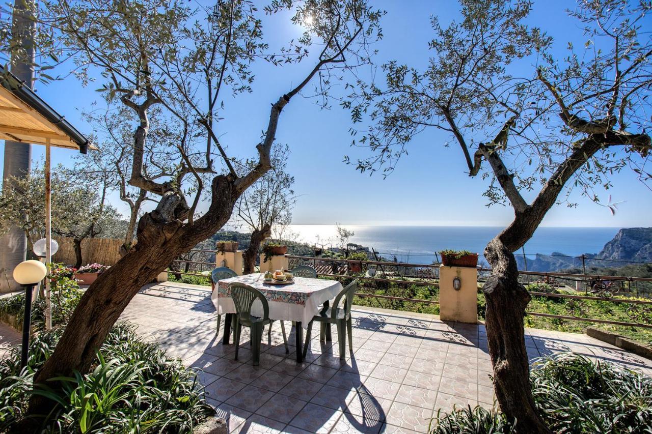 Il Pioppo - Country House Sea View Massa Lubrense Eksteriør bilde